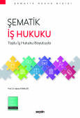 Şematik İş Hukuku Toplu İş Hukuku Boyutuyla 