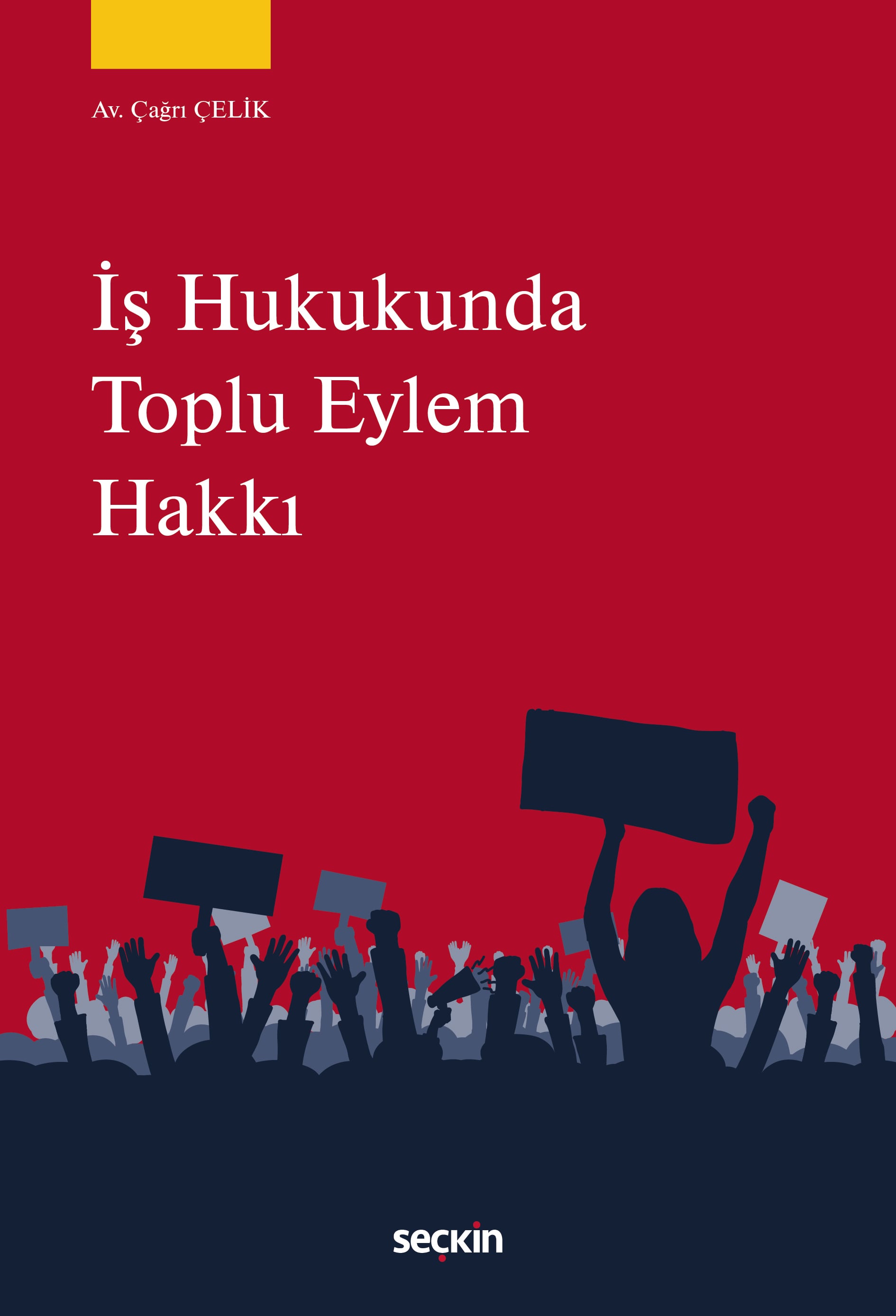 İş Hukukunda Toplu Eylem Hakkı