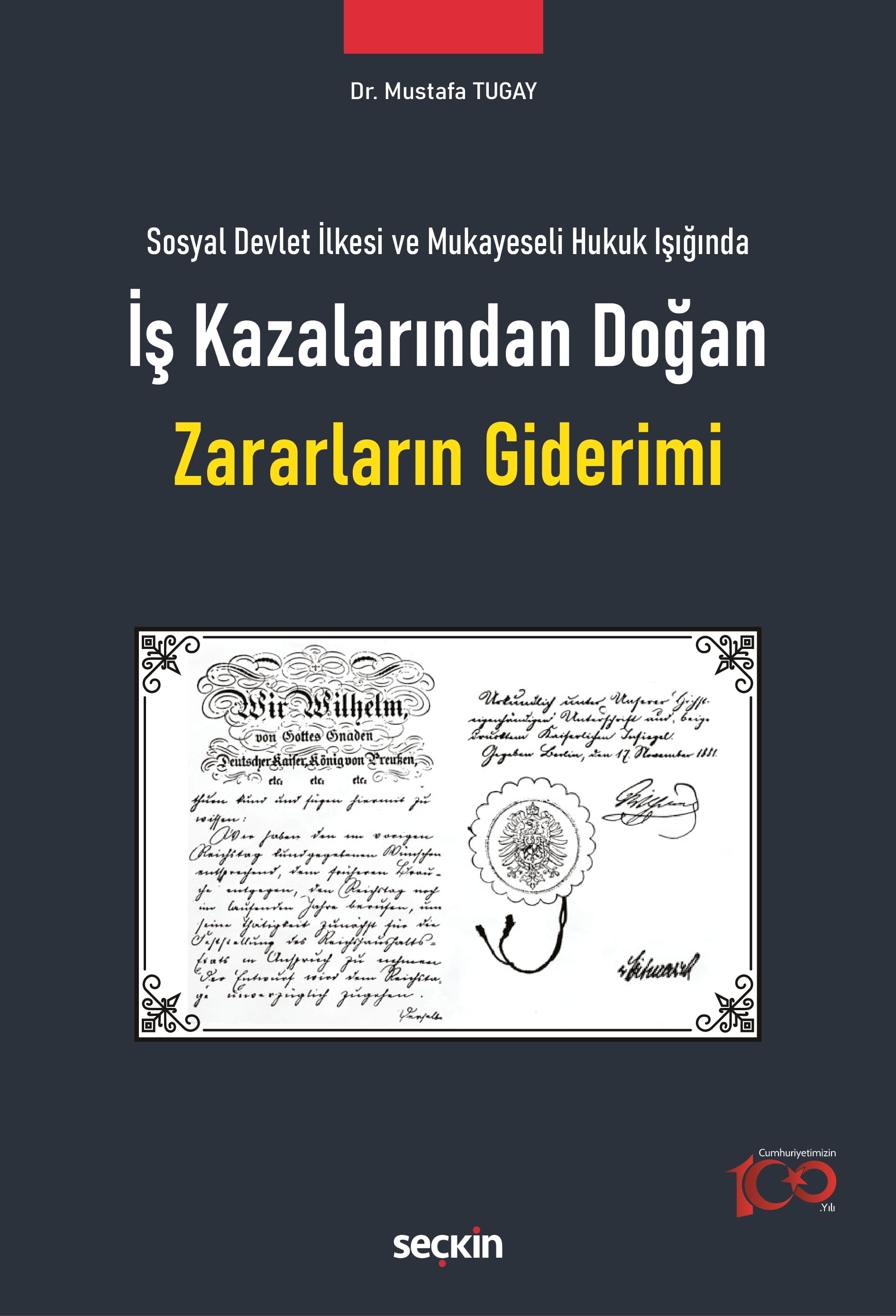 Sosyal Devlet İlkesi ve Mukayeseli Hukuk Işığındaİş Kazalarından Doğan Zararların Giderimi