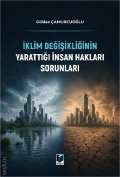 İklim Değişikliğinin Yarattığı İnsan Hakları Sorunları Gülden Çamurcuoğlu  - Kitap