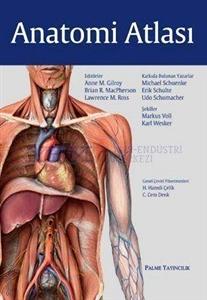 Anatomi Atlası Anne M. Gilroy, Brian R. MacPherson, Lawrence M. Ross  - Kitap