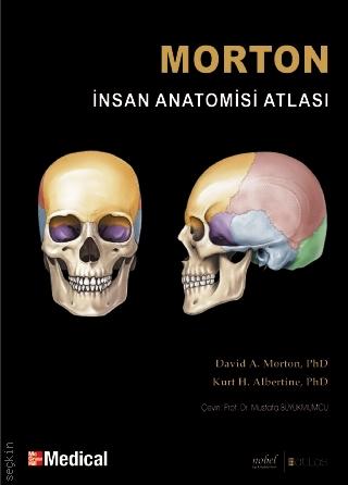 İnsan Anatomi Atlası David A. Morton, Kurt H. Albertine  - Kitap