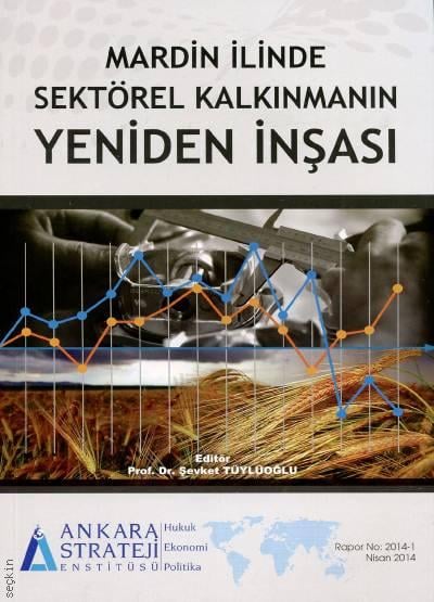 Mardin İlinde Sektörel Kalkınmanın Yeniden İnşası Prof. Dr. Şevket Tüylüoğlu  - Kitap