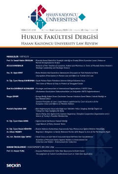 Hasan Kalyoncu Üniversitesi Hukuk Fakültesi Dergisi Sayı:19  Ocak 2020 İbrahim Gül