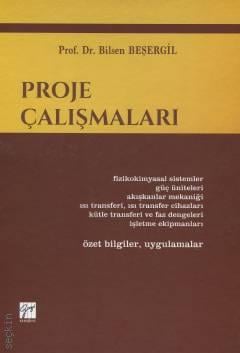 Proje Çalışmaları Prof. Dr. Bilsen Beşergil  - Kitap