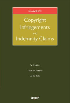 Copyright Infringements And Indemnity Claims Şüheda Ercan