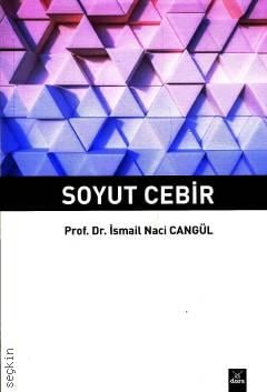 Soyut Cebir Prof. Dr. İsmail Naci Cangül  - Kitap