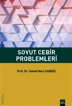 Soyut Cebir Problemleri Prof. Dr. İsmail Naci Cangül  - Kitap