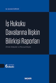 İş Hukuku Davalarına İlişkin Bilirkişi Raporları