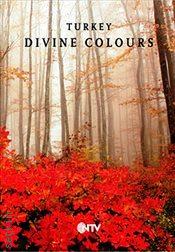 Turkey Divine Colour Mustafa Alp Dağıstanlı  - Kitap