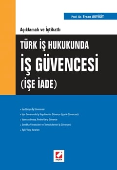 Türk İş Hukukunda İş Güvencesi (İşe İade) Prof. Dr. Ercan Akyiğit  - Kitap