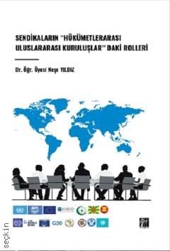 Sendikaların "Hükümetlerarası Uluslararası Kuruluşlar" daki Rolleri Dr. Öğr. Üyesi Neşe Yıldız  - Kitap