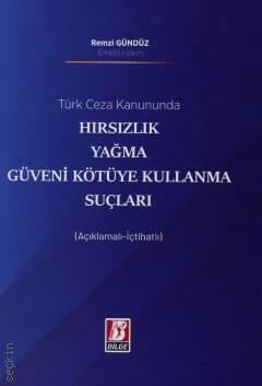 Türk Ceza Kanununda Hırsızlık  Yağma Güveni Kötüye Kullanma Suçları Remzi Gündüz  - Kitap