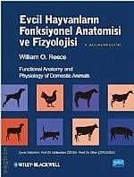 Evcil Hayvanların Fonksiyonel Anatomisi ve Fizyolojisi William O. Reece  - Kitap