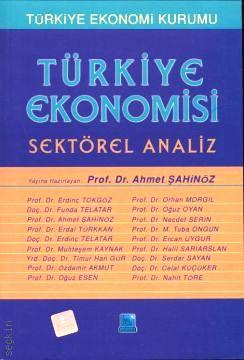 Türkiye Ekonomisi Sektörel Analiz Ahmet Şahinöz  - Kitap